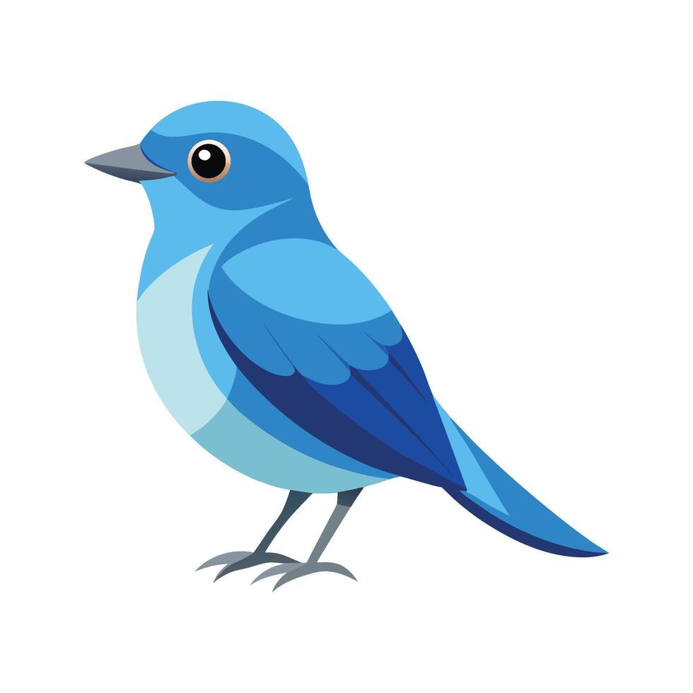 Stunning Mountain Bluebird vector