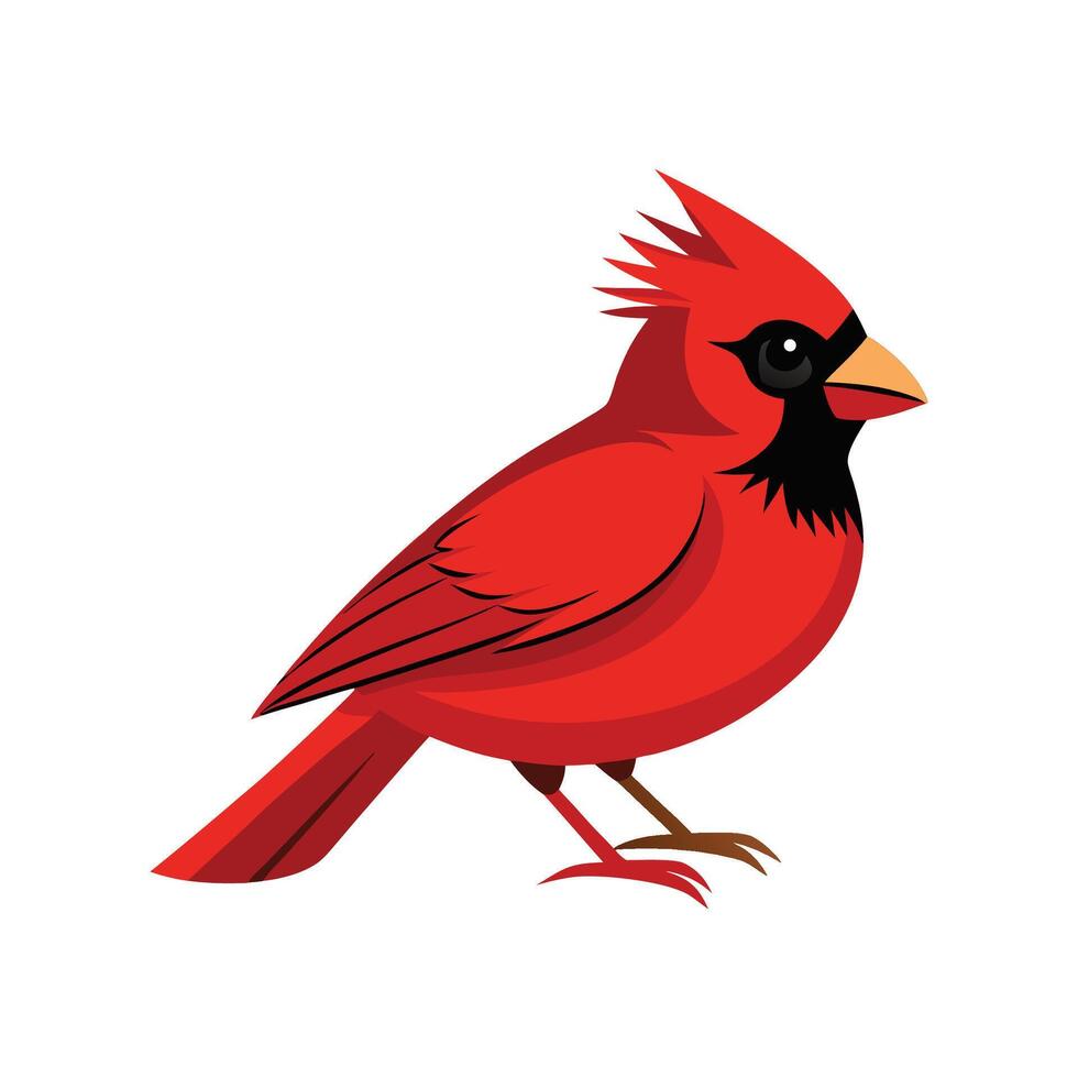 Elegant Northern Cardinal Design vector