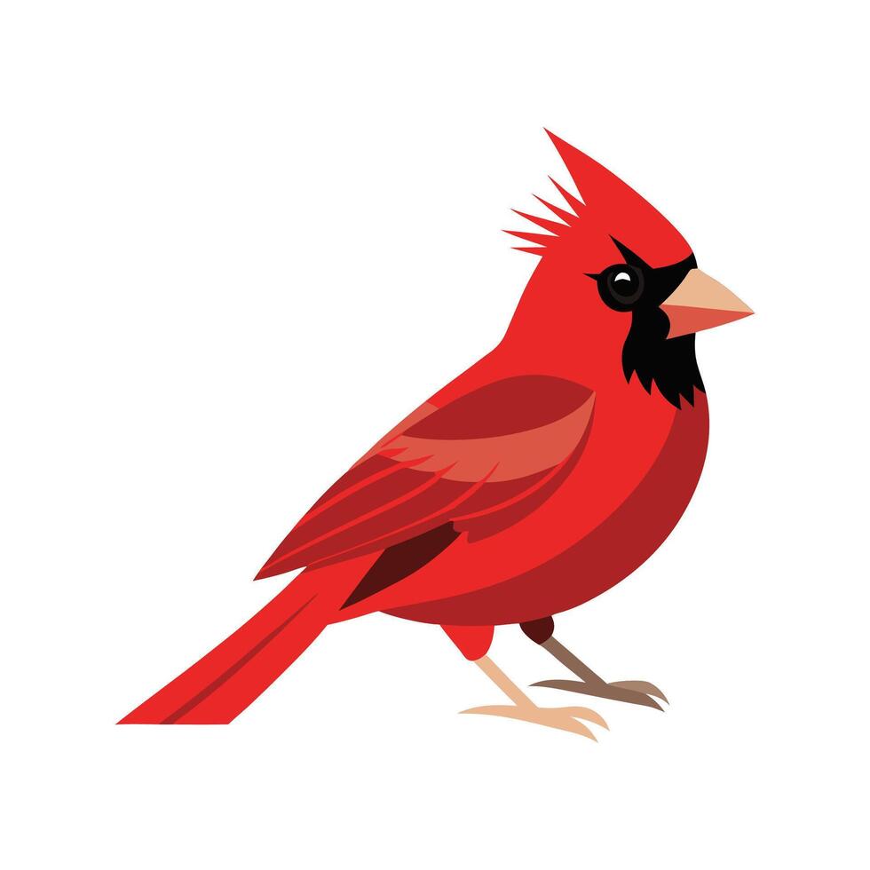 Charming Northern Cardinal Artwork vector