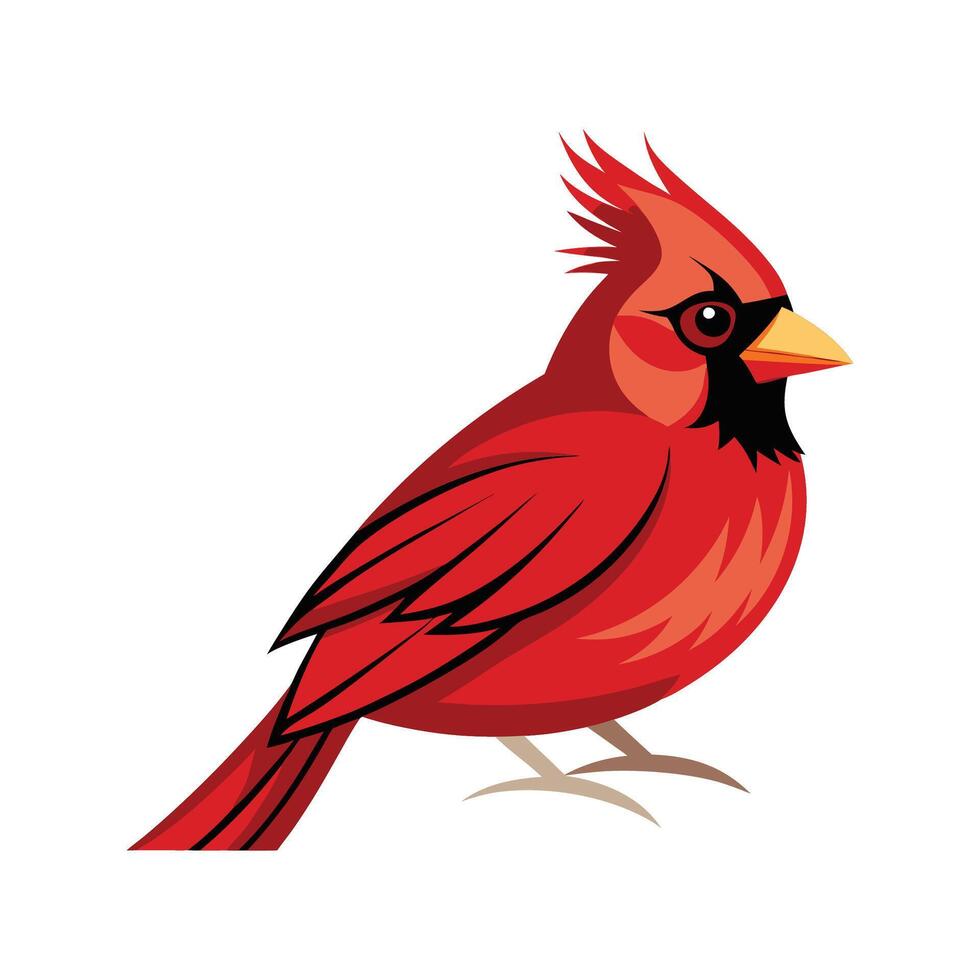 Vibrant Northern Cardinal Illustration vector