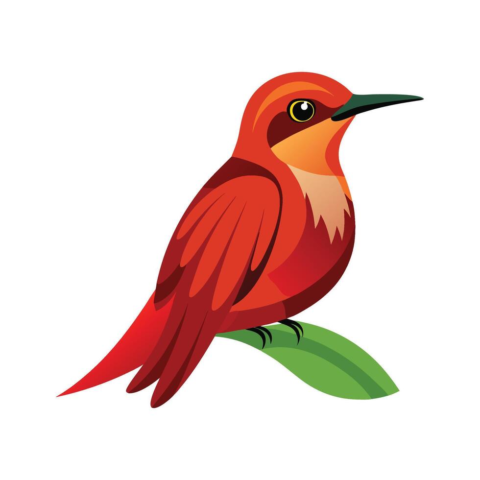 Charming Northern Carmine Bee Eater Artwork vector