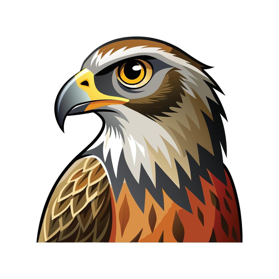 Stunning Northern Harrier Artwork vector