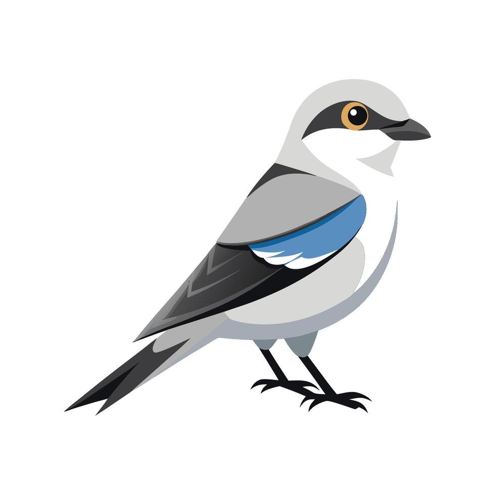 Charming Northern Shrike Design vector