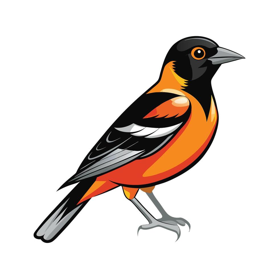 Charming Oriole Bird Artwork vector