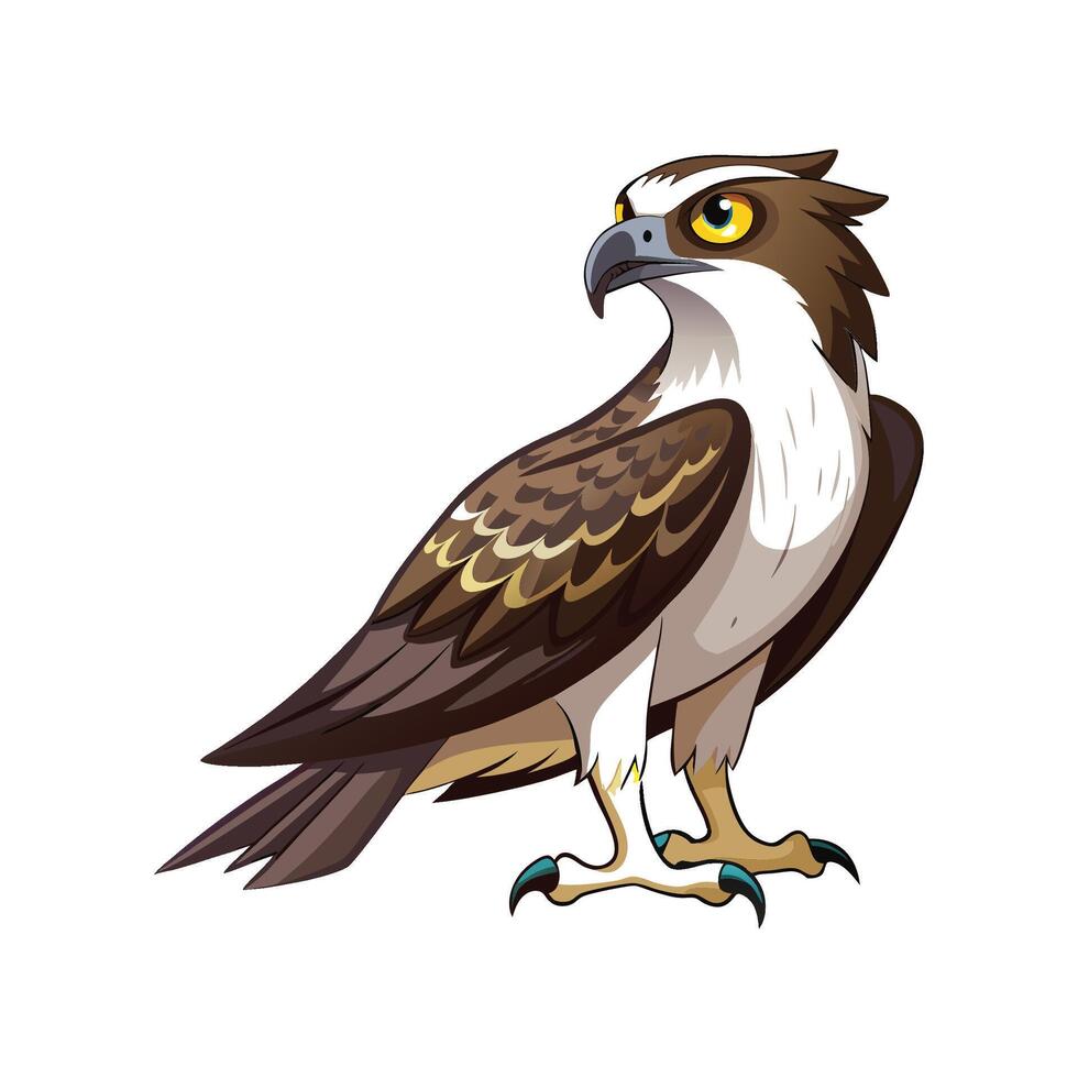 Stunning Osprey Bird Artwork vector