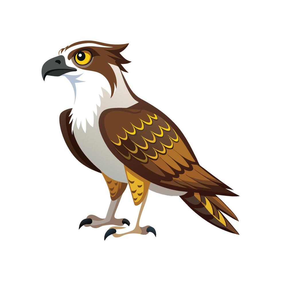 Elegant Osprey Bird Design vector