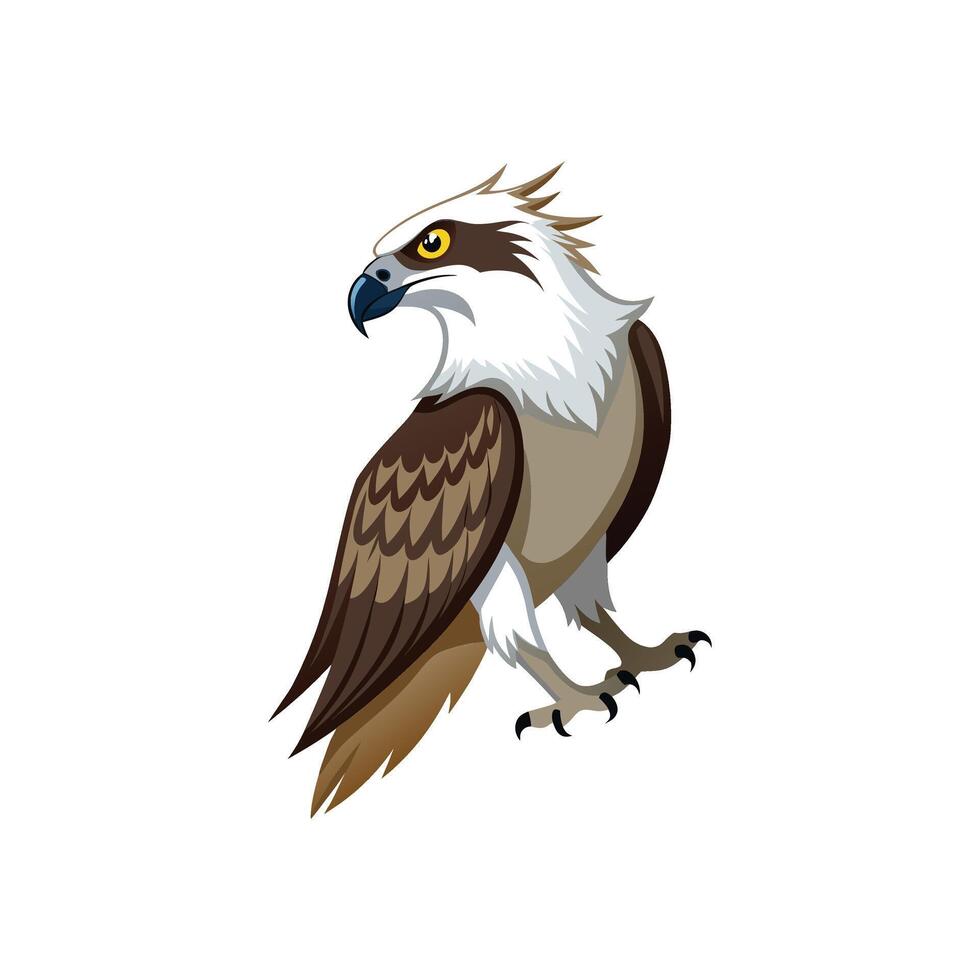 Charming Osprey Bird Artwork vector