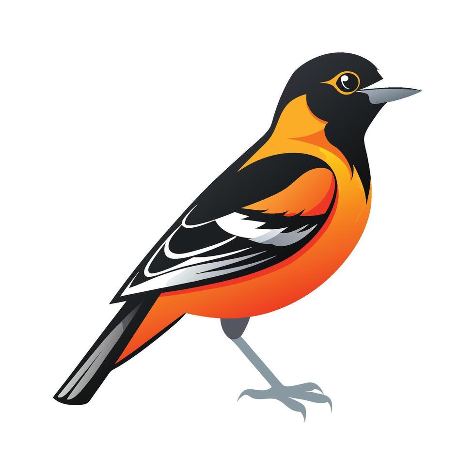 Elegant Oriole Bird Design vector