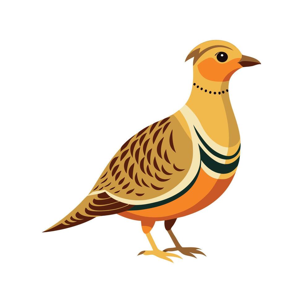 Elegant Pallass Sandgrouse Design vector