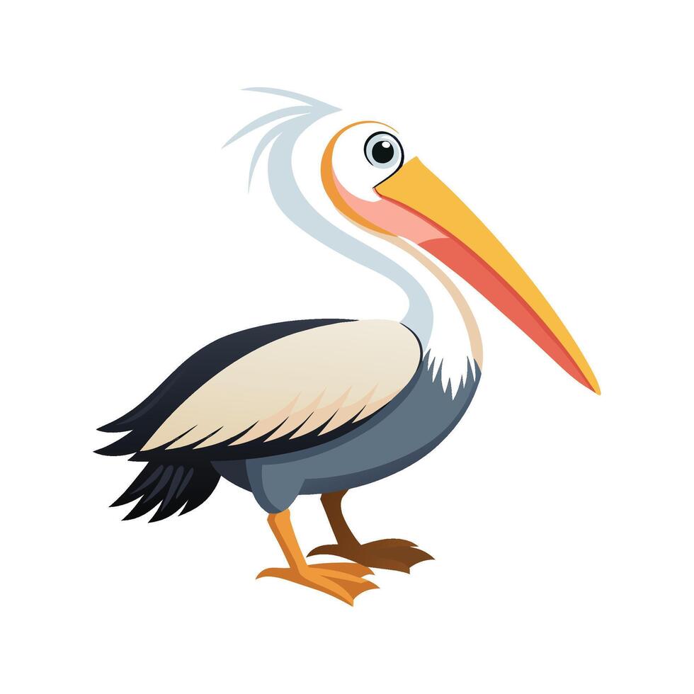 Elegant Pelican Bird Artwork vector
