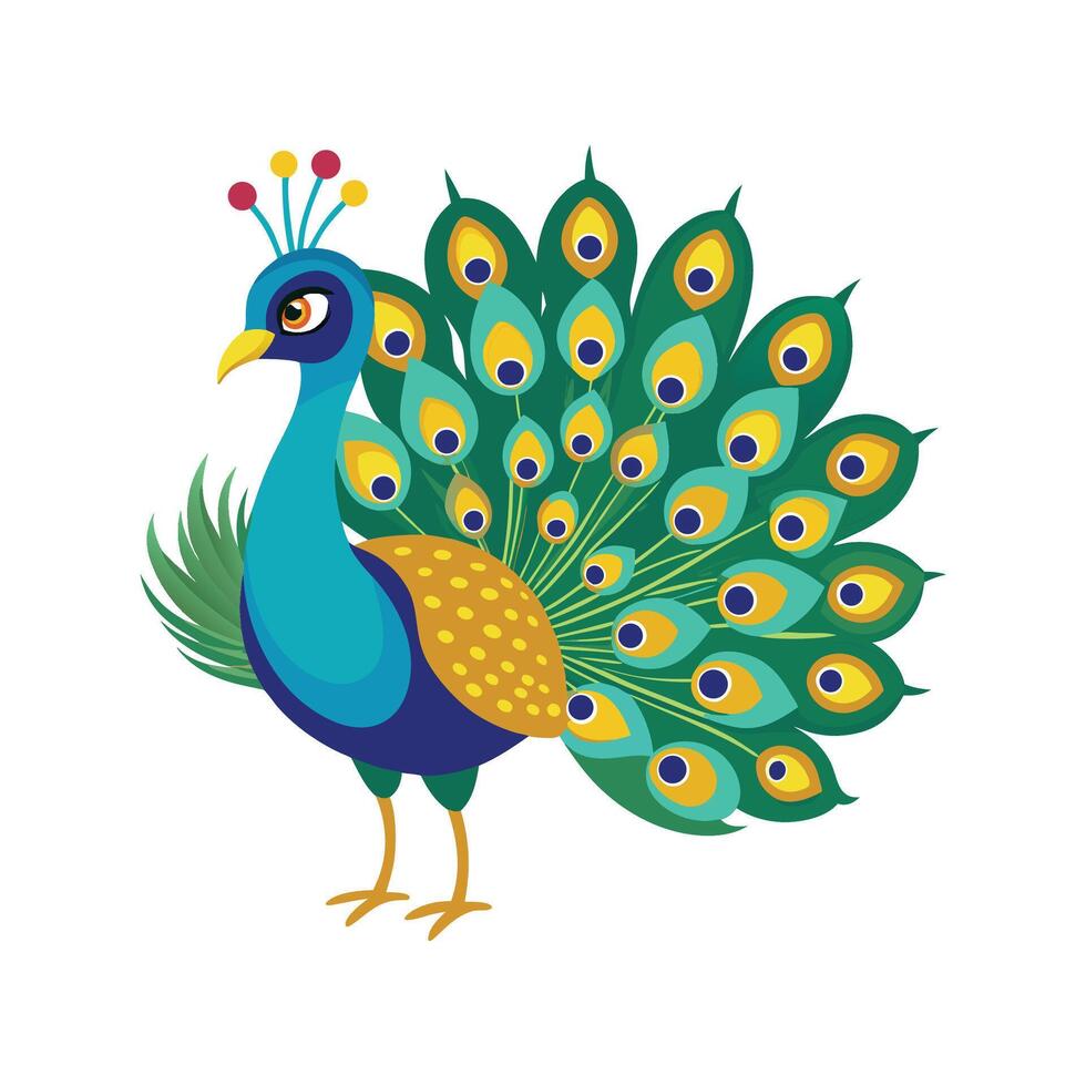 Vibrant Peacock Bird vector