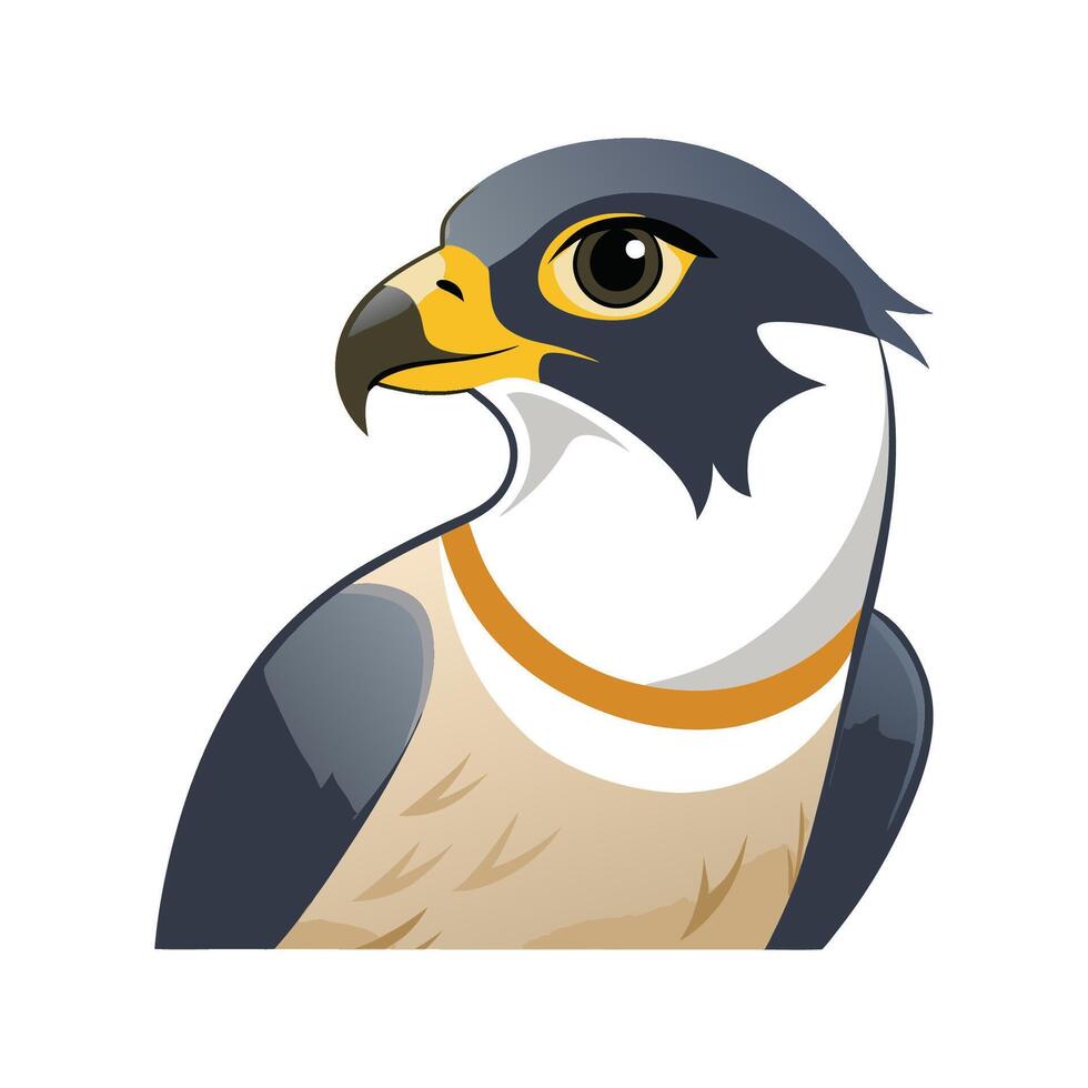 Elegant Peregrine Falcon Artwork vector