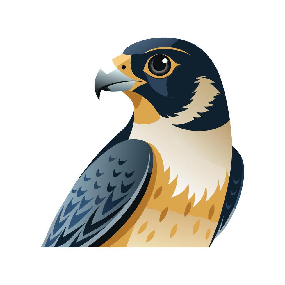 Dramatic Peregrine Falcon Illustration vector