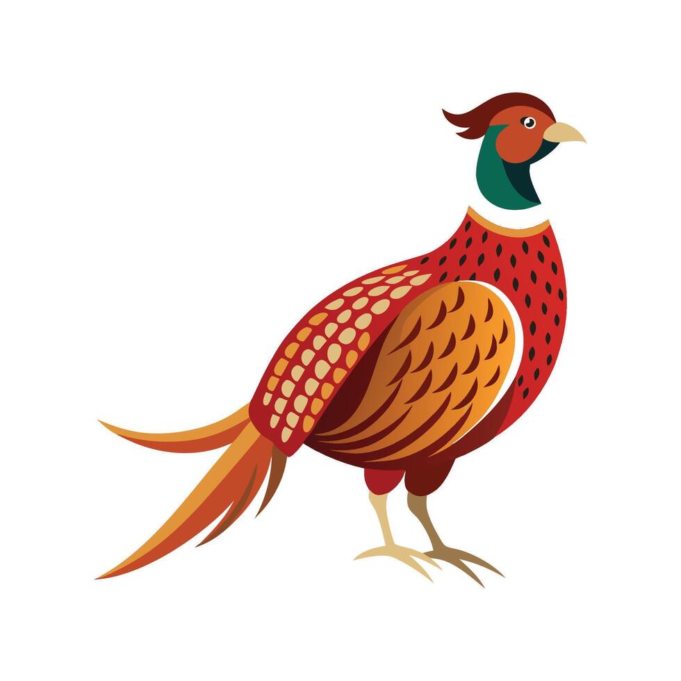 Colorful Pheasant Bird Illustration vector