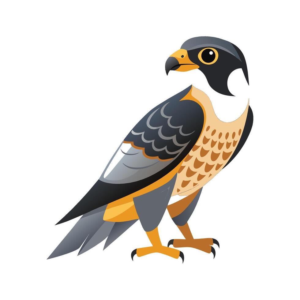 Vibrant Peregrine Falcon vector
