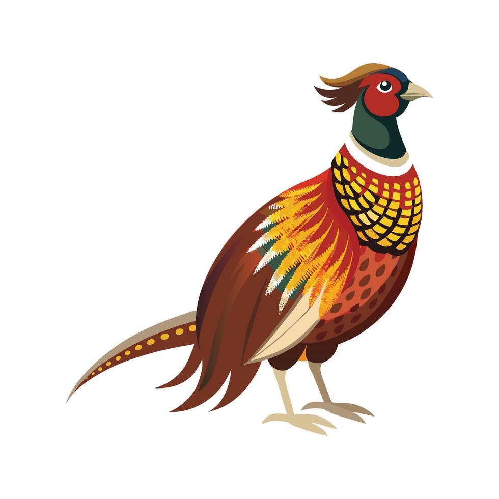 Vibrant Pheasant Bird vector