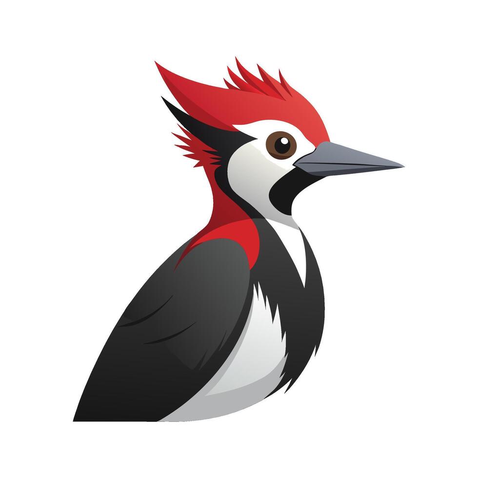 Charming Pileated Woodpecker Artwork vector