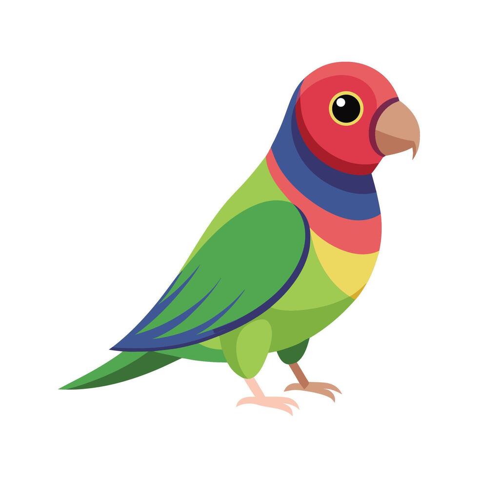 Stunning Plumheaded Parakeet Artwork vector