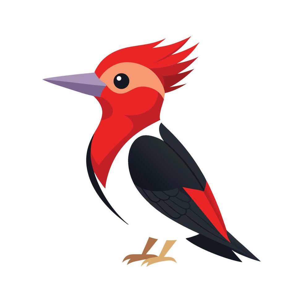 Dramatic Redheaded Woodpecker Illustration vector