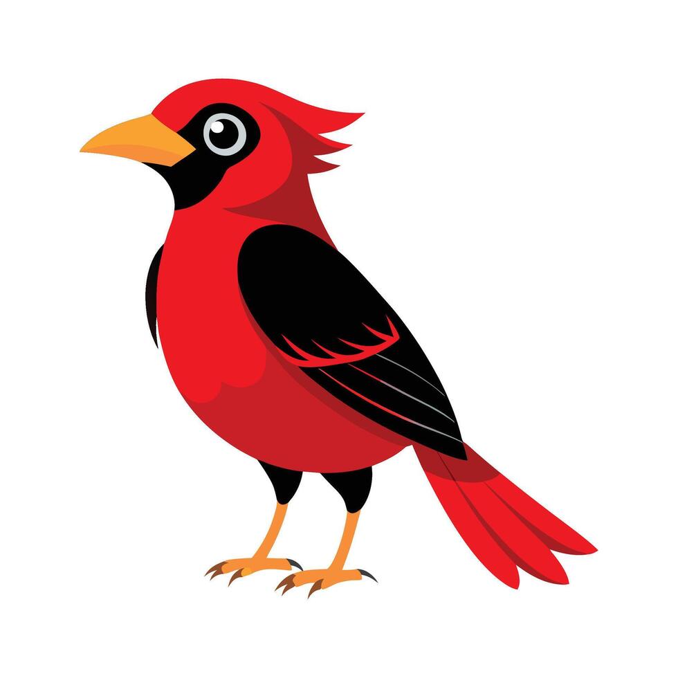 Dramatic Redruffed Fruitcrow Illustration vector