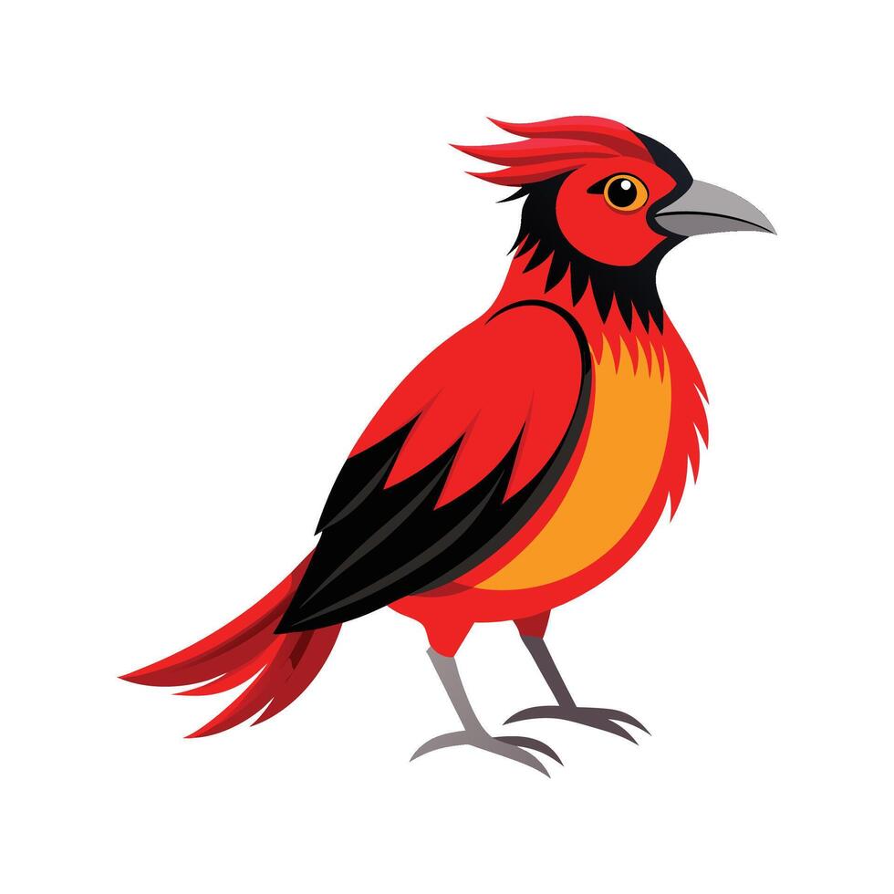 Vibrant Redruffed Fruitcrow vector