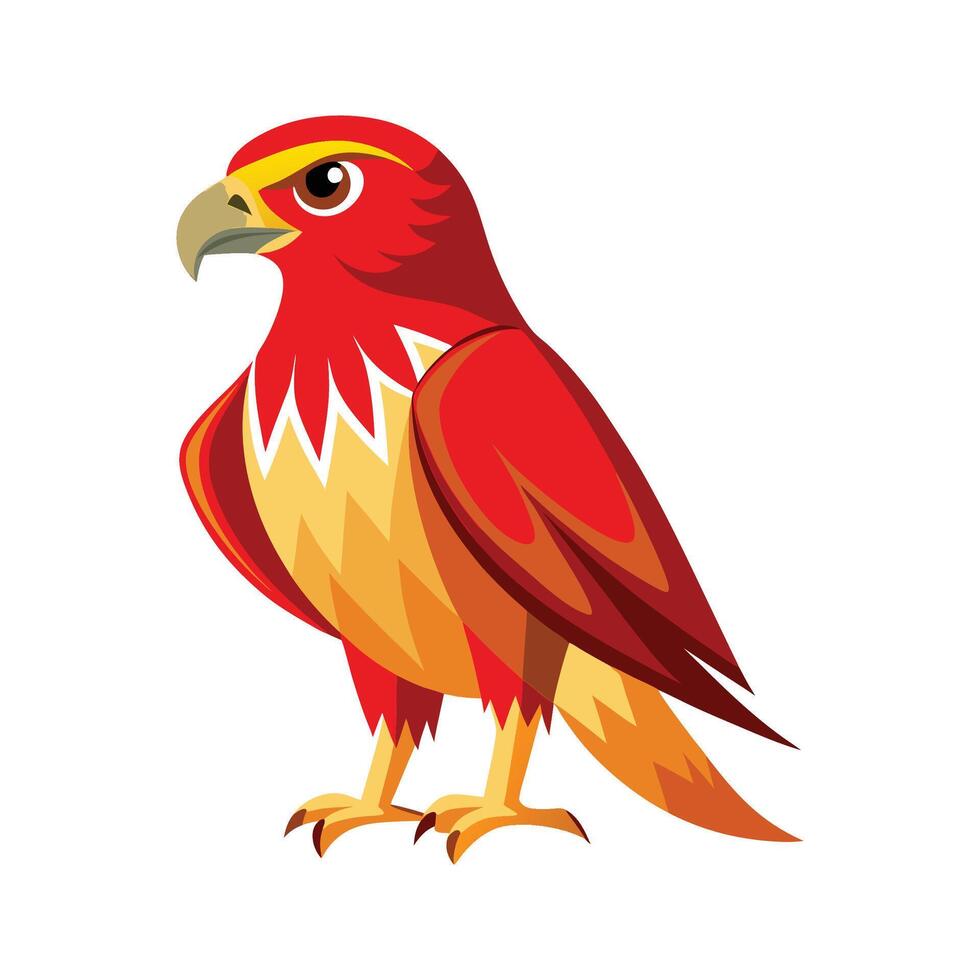 Majestic Redtailed Hawk Illustration vector