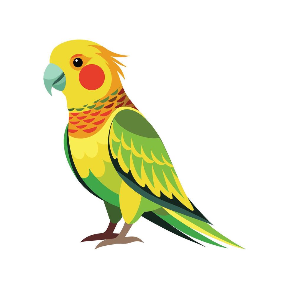 Vibrant Regent Parrot vector