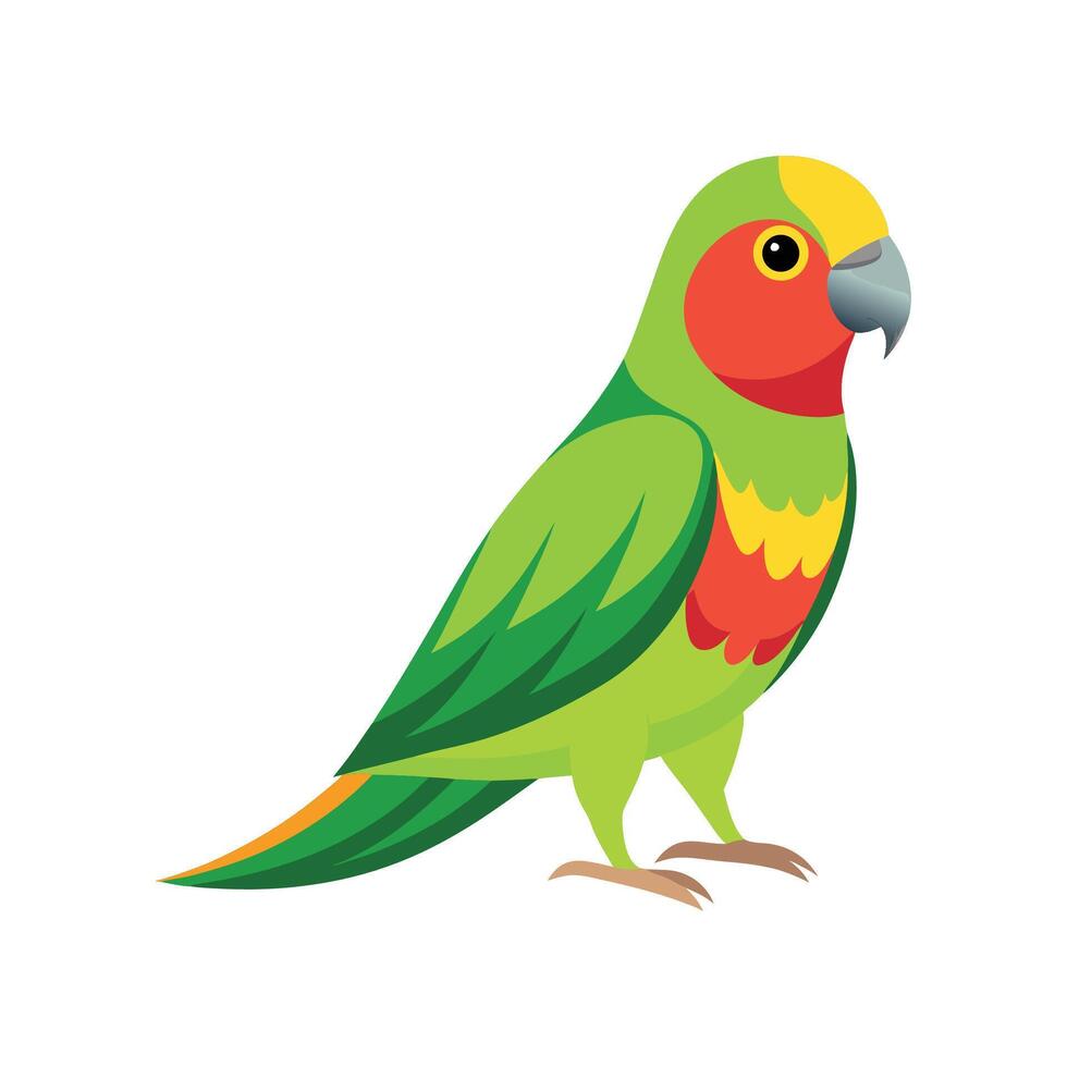 Colorful Regent Parrot Illustration vector