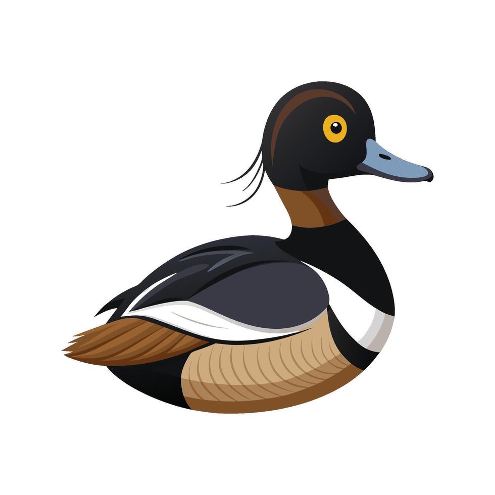 Vibrant Ringnecked Duck vector