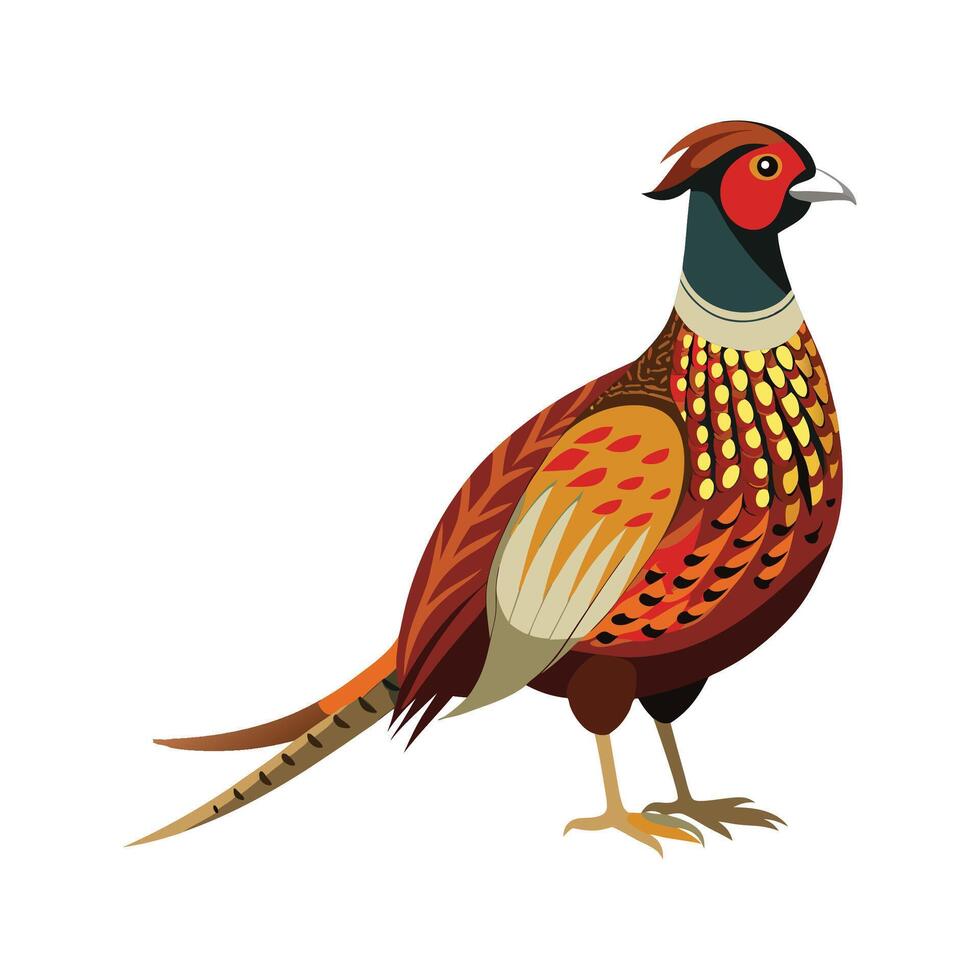 Stunning Ringnecked Pheasant Design vector