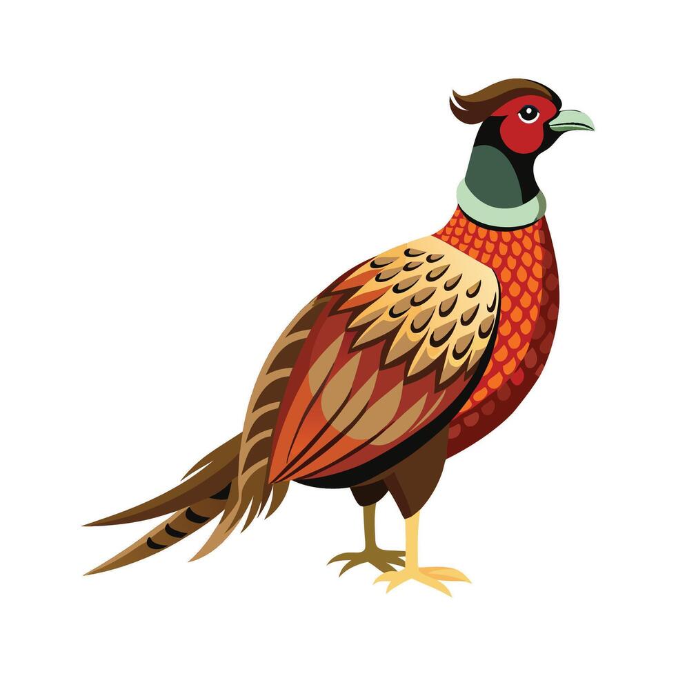 Vibrant Ringnecked Pheasant vector