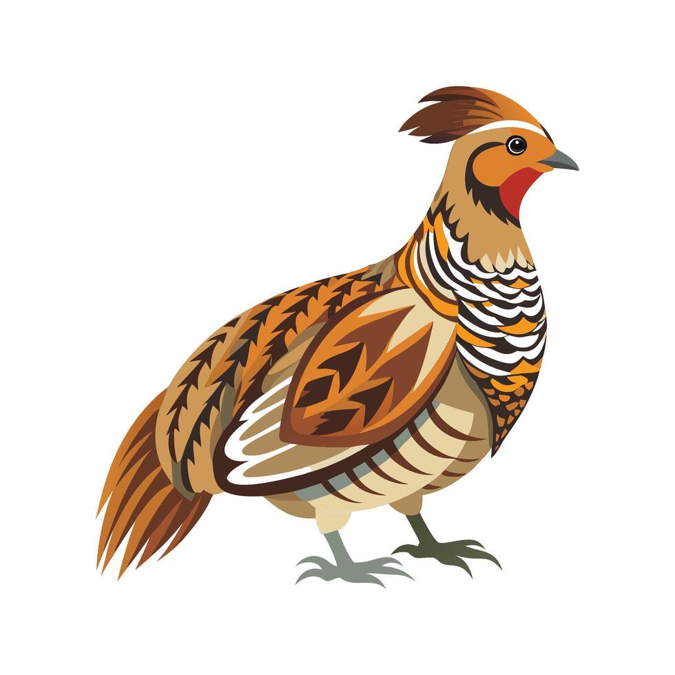 Charming ruffed grouse illustration for designers vector