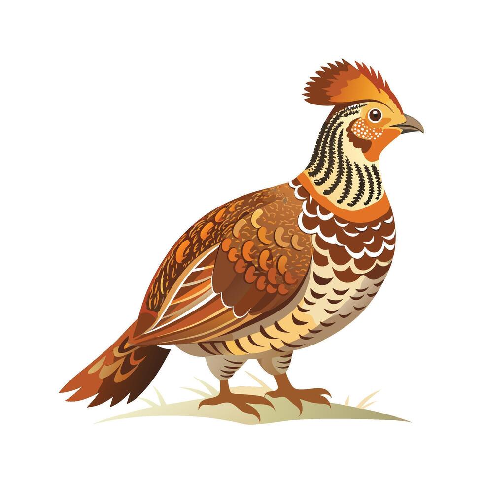 Unique ruffed grouse illustration for art vector