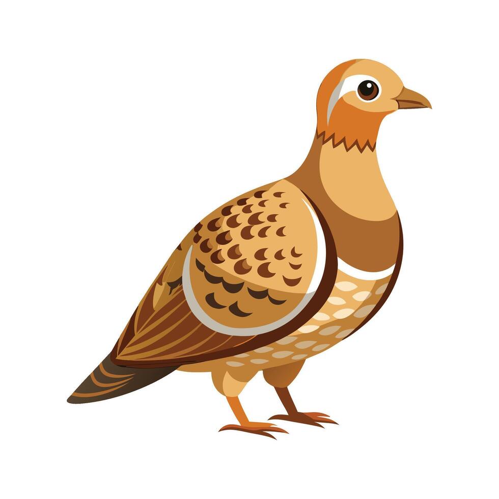 Stylized sandgrouse art for nature vector