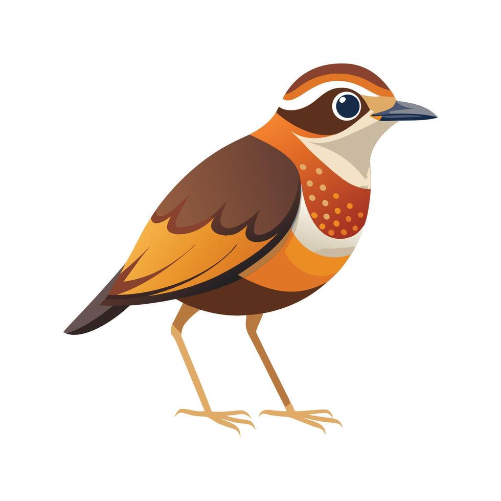 Charming scaled antpitta character art vector