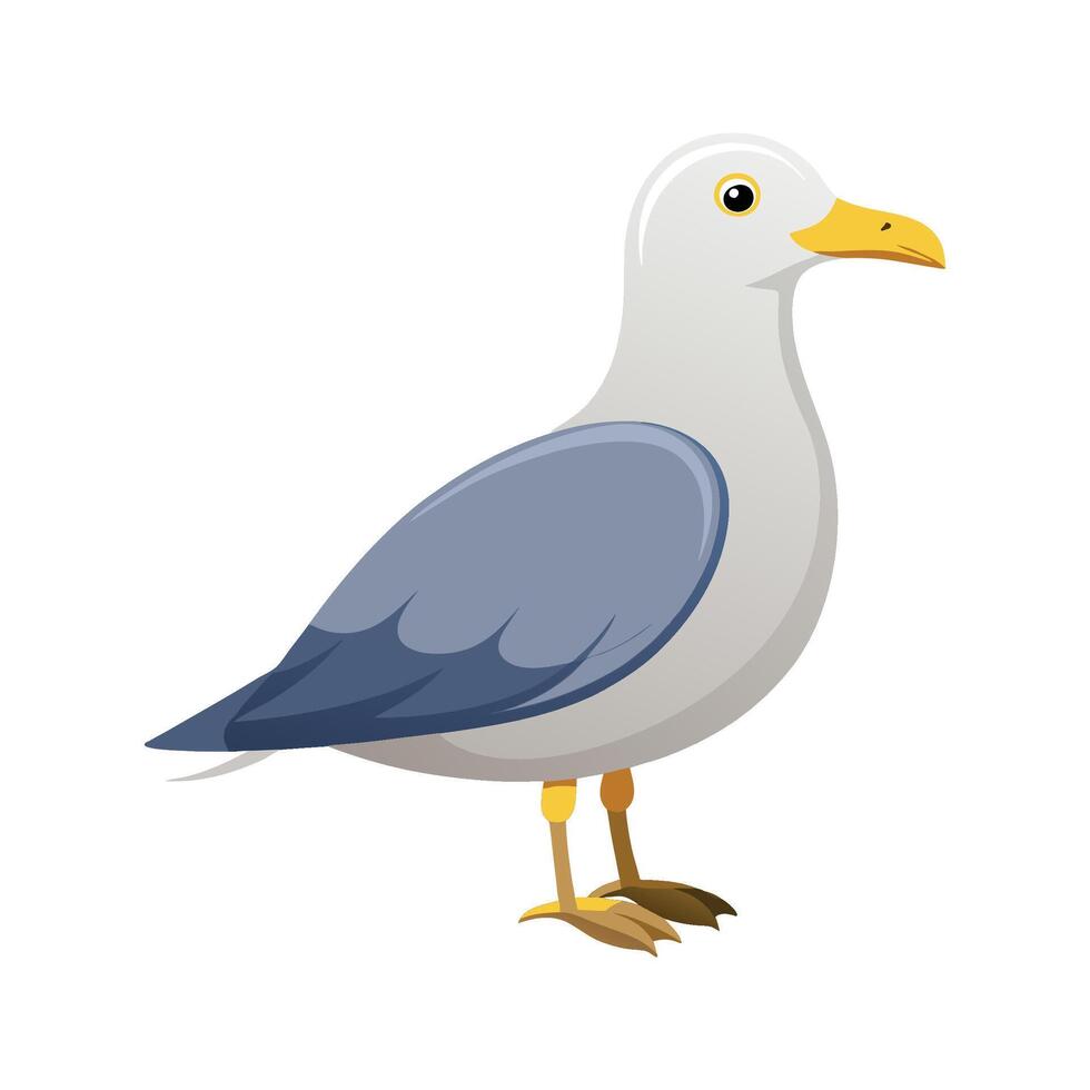 Stylish seagull illustration for coastal art vector