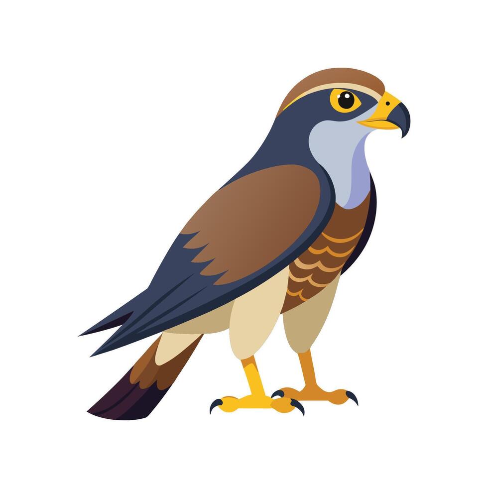 Stylized shikra in flight illustration vector
