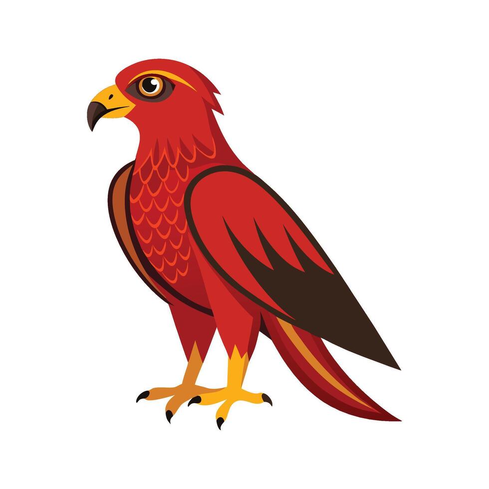Artistic shikra illustration for designers vector