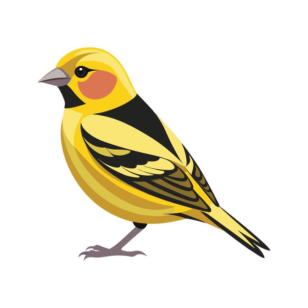 Vibrant siskin illustration for creatives vector