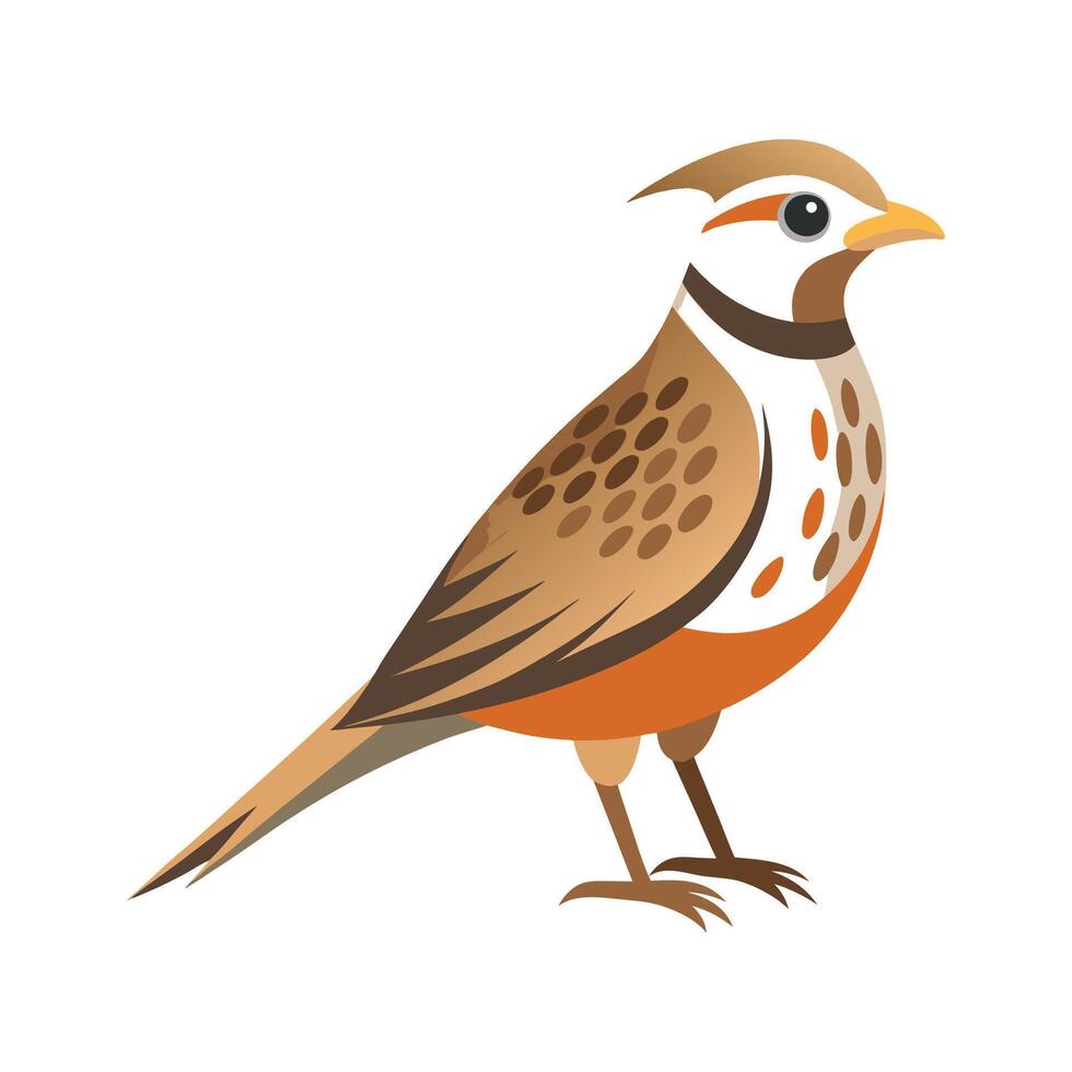 Elegant skylark illustration for designers vector