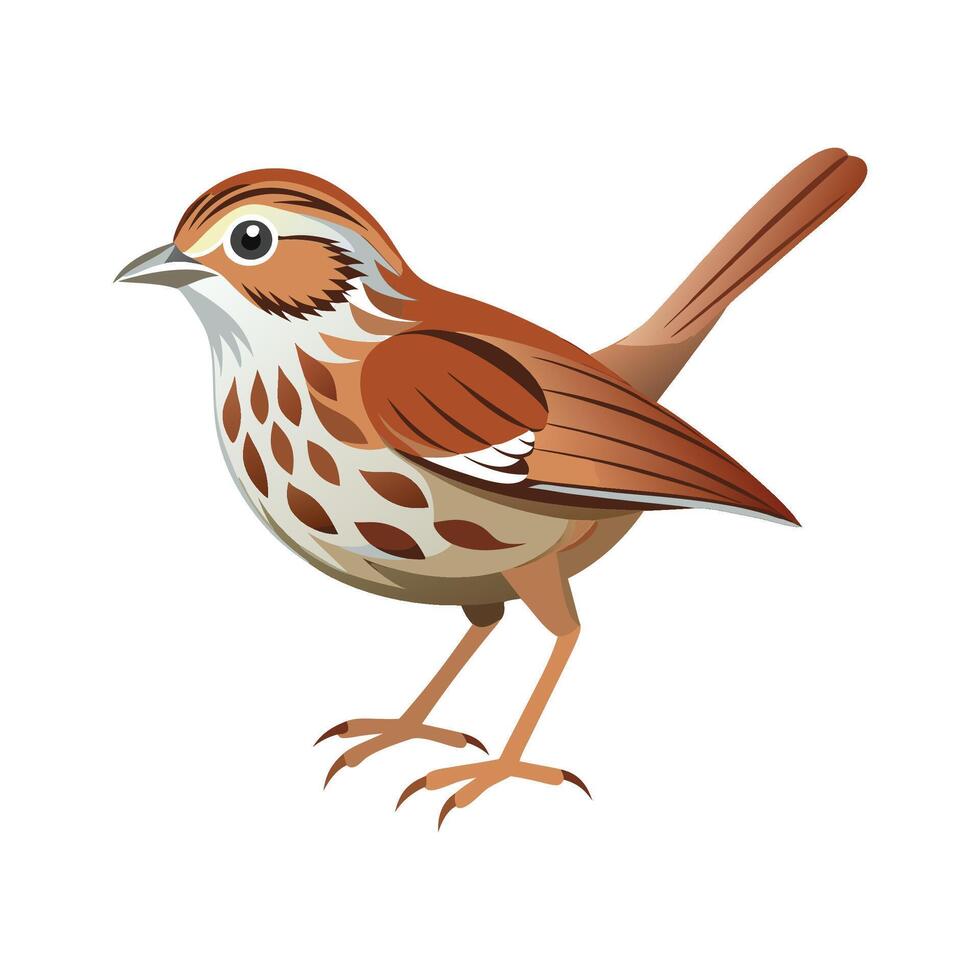 Dynamic song sparrow art for nature vector