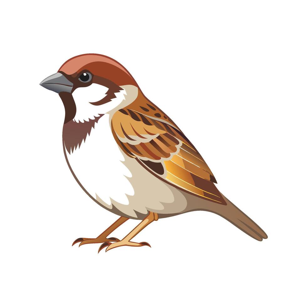 Sparrow Bird Artistic Representation with Bright Colors vector