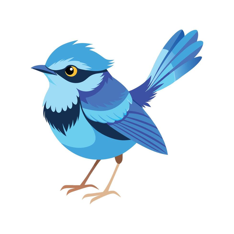 Illustration of a Beautiful Splendid Fairywren Bird vector