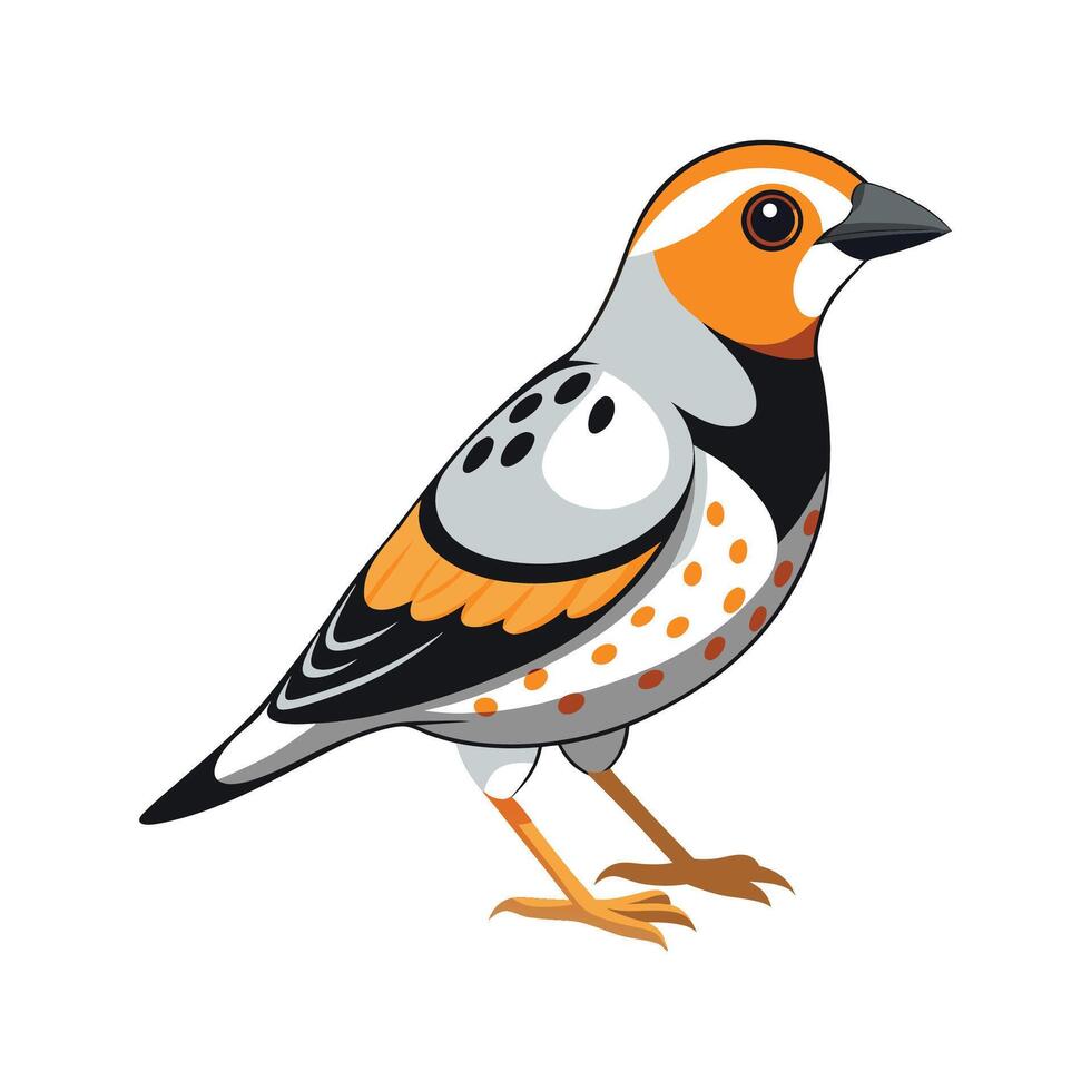 Charming Spotted Pardalote Bird Artwork vector