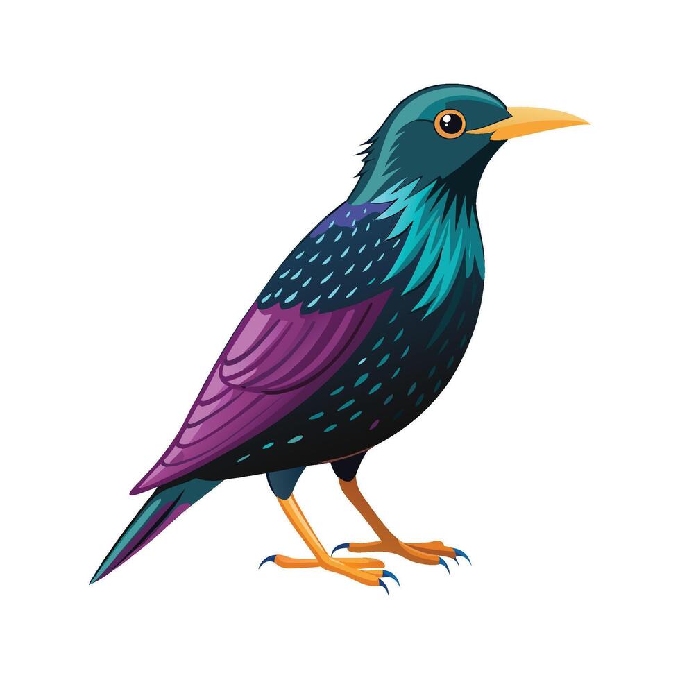 Vibrant Starling Bird Illustration Design vector