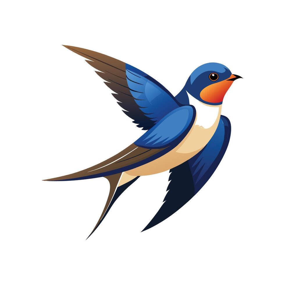 Swallow Bird Detailed Artistic Design Illustration vector