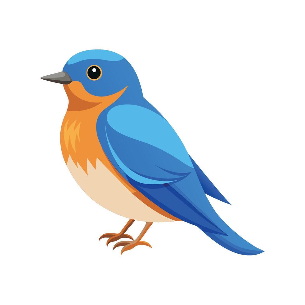 Vibrant Western Bluebird Artistic Design vector