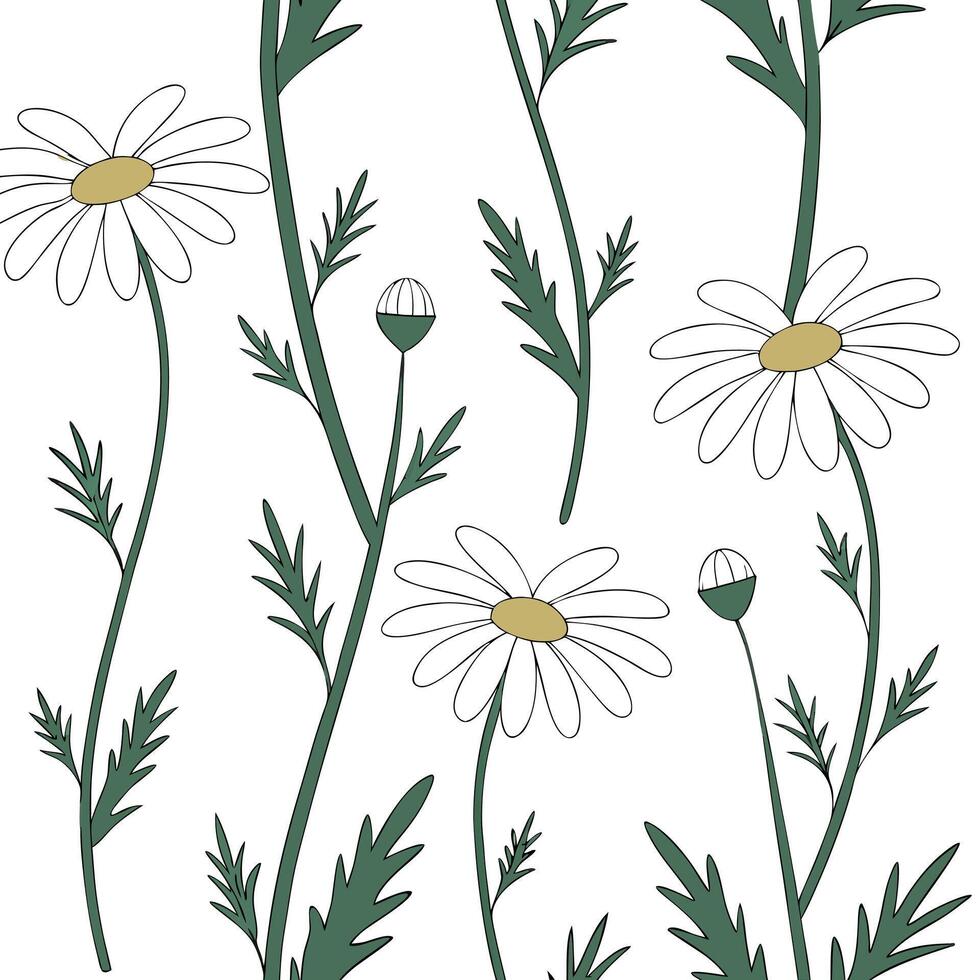 Flat Botanical garden daisy seamless tile pattern with various daisy species in natural whites on white background perfect for serene spaces concept as Various daisy species in nat flat vector