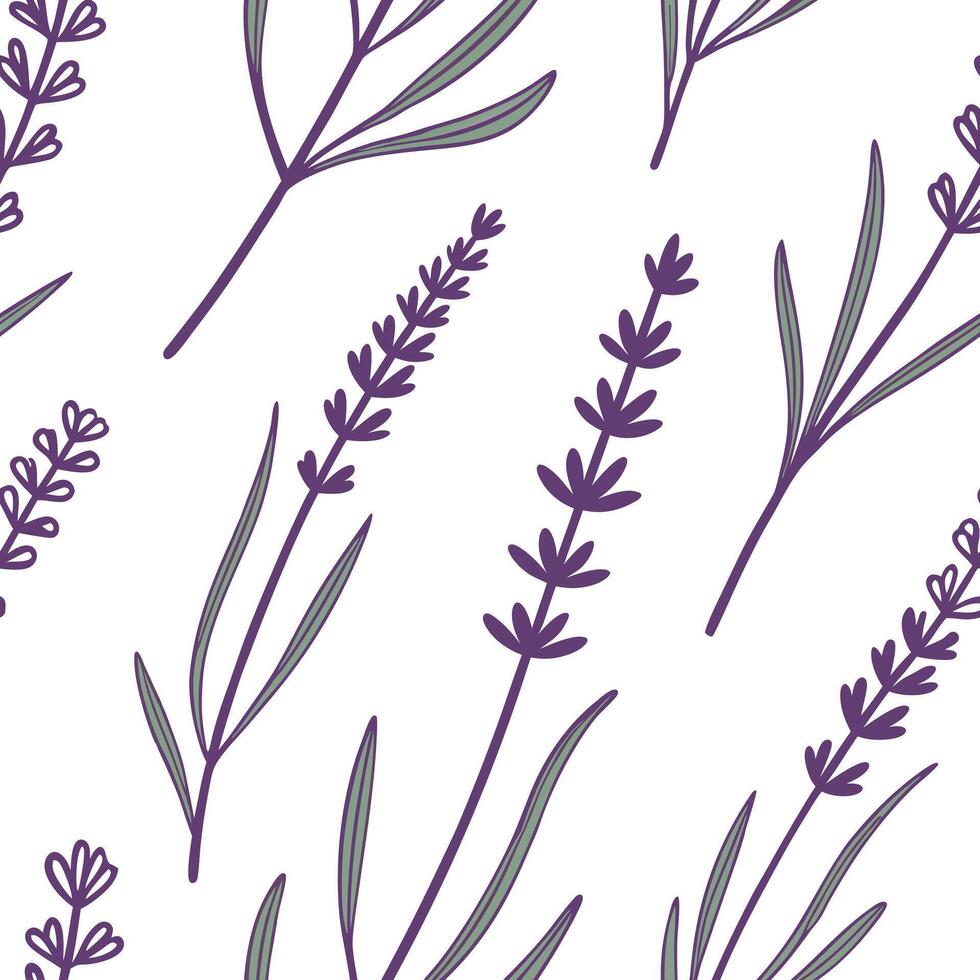 Flat Botanical garden lavender seamless tile pattern with various lavender species in natural purples on white background perfect for serene spaces concept as Various lavender spec flat vector