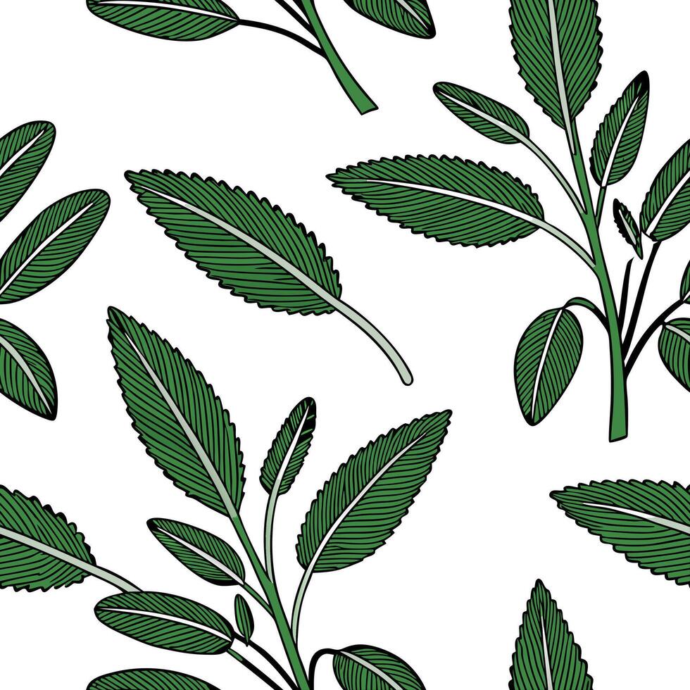 Flat Botanical sage leaves seamless pattern with detailed textures and green stems on white background concept as Detailed botanical sage leaves with lush green stems creating a ri flat vector